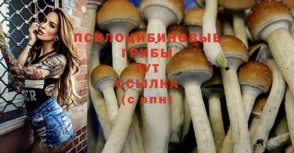 mdpv Переславль-Залесский